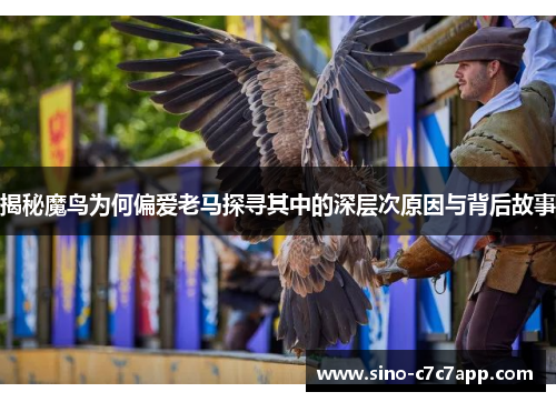 揭秘魔鸟为何偏爱老马探寻其中的深层次原因与背后故事