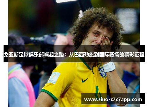 戈亚斯足球俱乐部崛起之路：从巴西劲旅到国际赛场的精彩征程