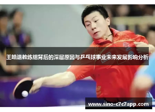 王皓退教练组背后的深层原因与乒乓球事业未来发展影响分析