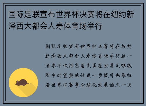 国际足联宣布世界杯决赛将在纽约新泽西大都会人寿体育场举行