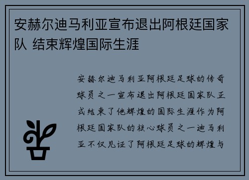 安赫尔迪马利亚宣布退出阿根廷国家队 结束辉煌国际生涯